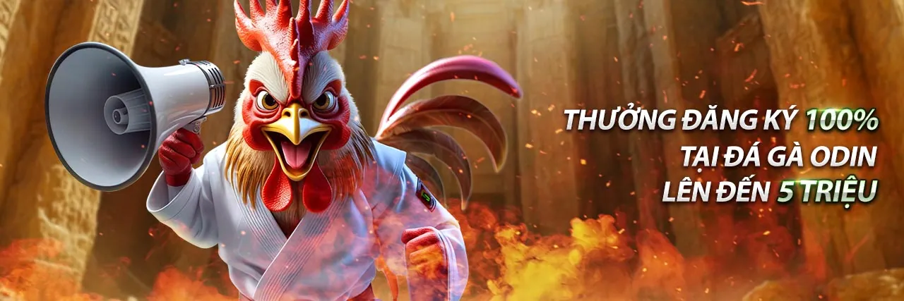 Các loại kèo đá gà phổ biến tại i9bet